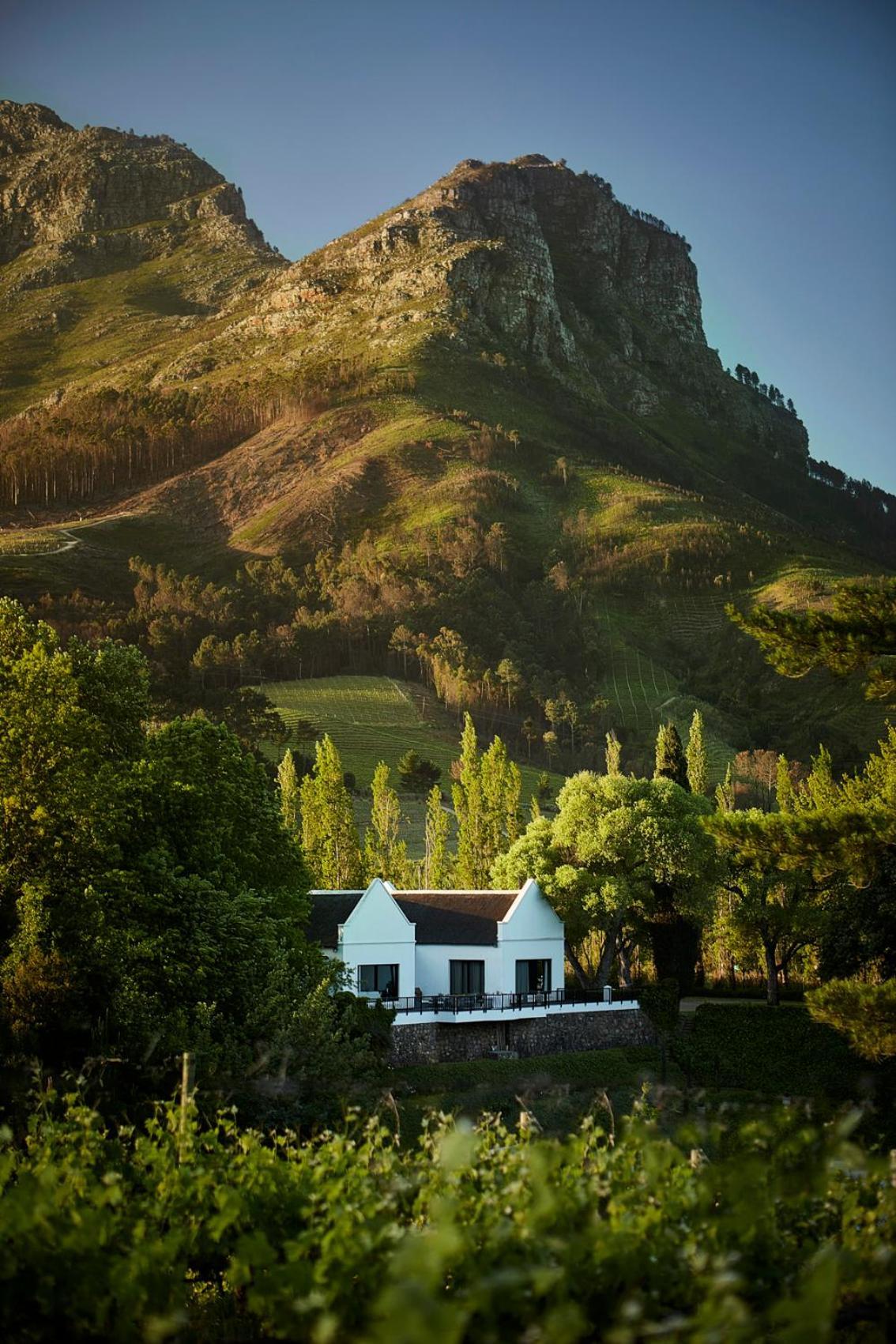Molenvliet Vineyards Hotel Stellenbosch Ngoại thất bức ảnh